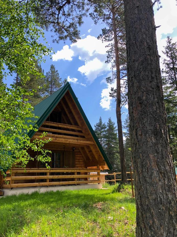 The Pine Forest Cottage Zabljak  Luaran gambar